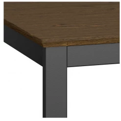Baths Steens Soma Dining Table Black And Pine