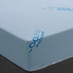 Visco Therapy Water Proof Flex Mattress Mattresses